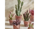 TERRACOTTA LOVE - plante artificielle en pot - DIA 13 x H 46 cm I Pomax