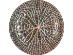 Assiette à dessert Lotus - bronze I Pomax