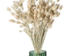COLLITA - fleurs séchées - lagurus ovatus natural - H 65 cm - naturel
